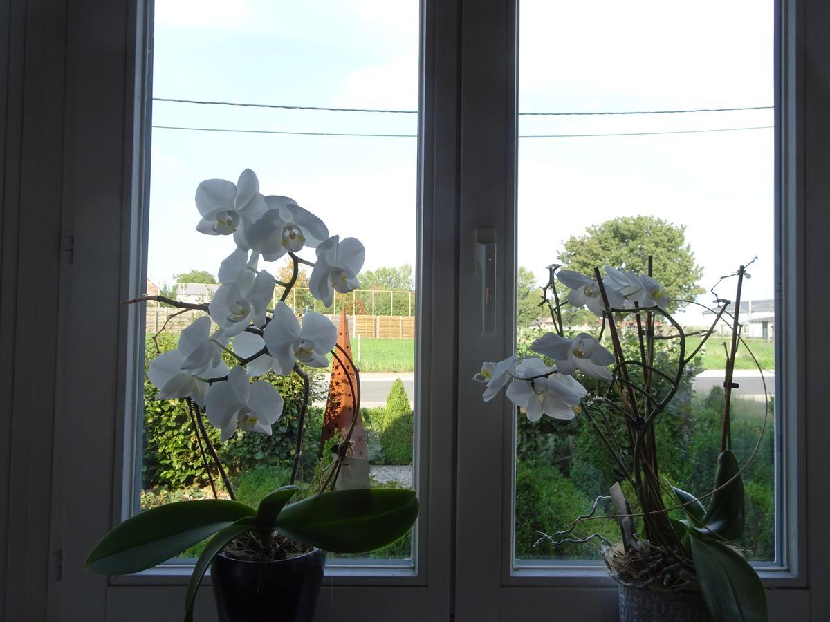 Chalet Buistemberg Villa Бракел Екстериор снимка